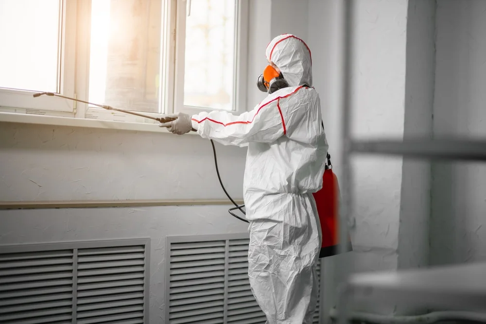 Professional mold remediation services in Silverwood, MI